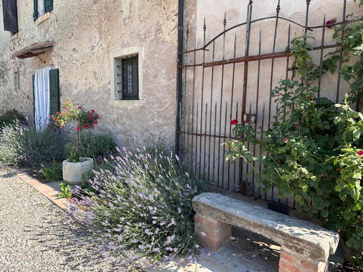 Ca Nova Agriturismo Castellaro  Exterior foto