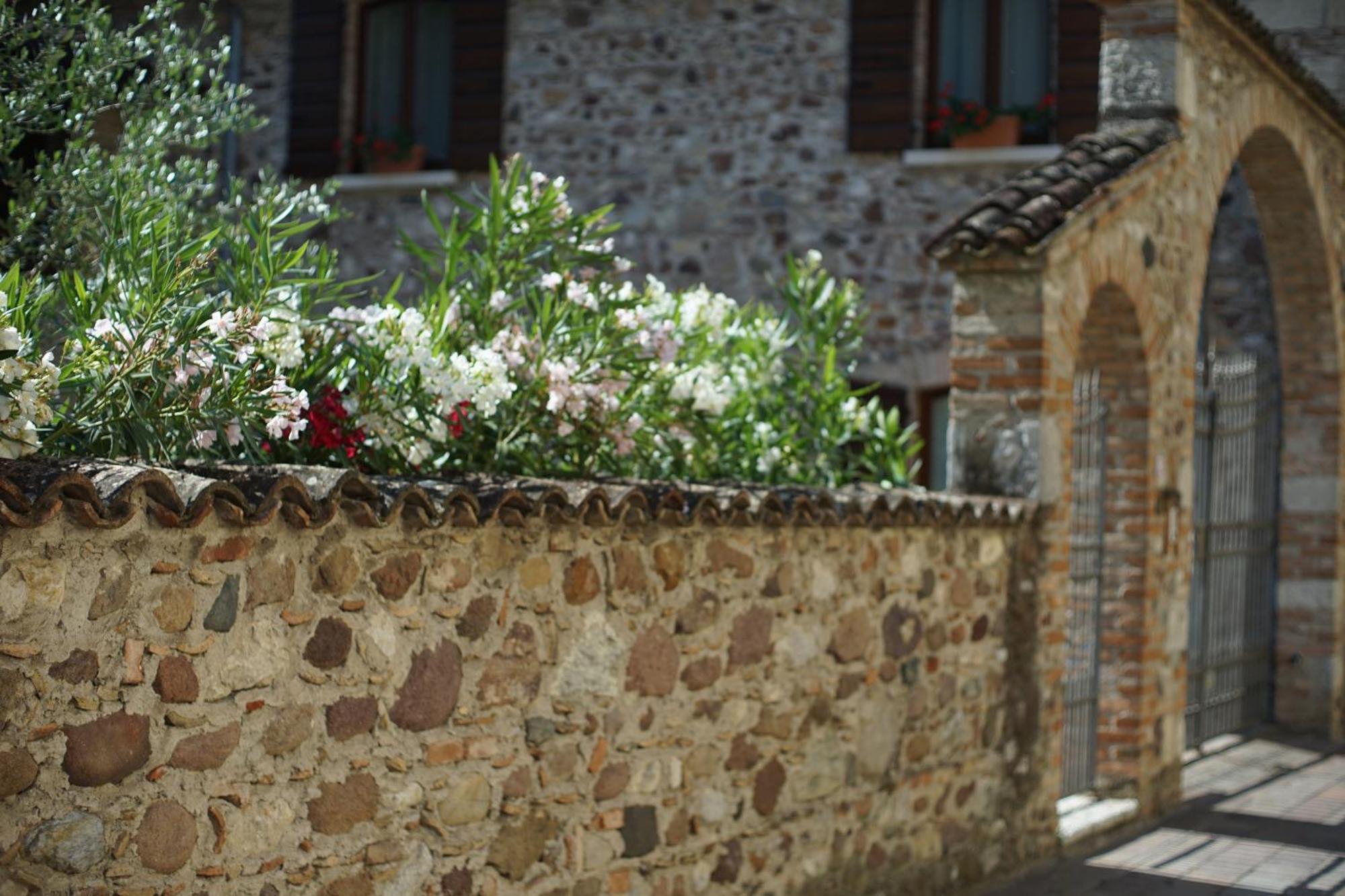 Ca Nova Agriturismo Castellaro  Exterior foto